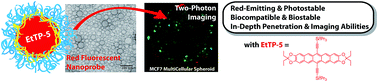 Graphical abstract: Red-emitting, EtTP-5-based organic nanoprobes for two-photon imaging in 3D multicellular biological models