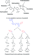 Graphical abstract: Detection and characterization of ponatinib reactive metabolites by liquid chromatography tandem mass spectrometry and elucidation of bioactivation pathways