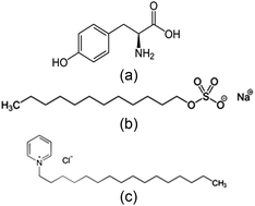 Graphical abstract: Evaluation of l-tyrosine mixed with sodium dodecyl sulphate or cetyl pyridinium chloride as a corrosion inhibitor for mild steel in 1 M HCl: experimental and theoretical studies