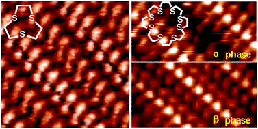 Graphical abstract: Self-assembly of trithia-9-crown-3 and octathia-24-crown-8 on Au(111) surfaces