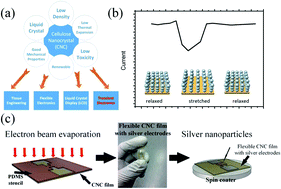 Graphical abstract: Strain sensors on water-soluble cellulose nanofibril paper by polydimethylsiloxane (PDMS) stencil lithography