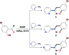 Graphical abstract: C–H⋯Br–C vs. C–Br⋯Br–C vs. C–Br⋯N bonding in molecular self-assembly of pyridine-containing dyes