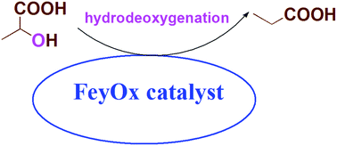Graphical abstract: Production of propionic acid via hydrodeoxygenation of lactic acid over FexOy catalysts