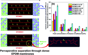 Graphical abstract: Role of ZDC/S ratio for pervaporative separation of organic liquids through modified EPDM membranes: rational mechanistic study of vulcanization