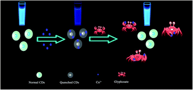 Graphical abstract: Carbon dots based turn-on fluorescent probes for the sensitive determination of glyphosate in environmental water samples