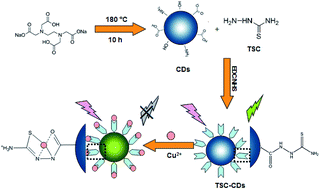 Graphical abstract: Thiosemicarbazide chemical functionalized carbon dots as a fluorescent nanosensor for sensing Cu2+ and intracellular imaging