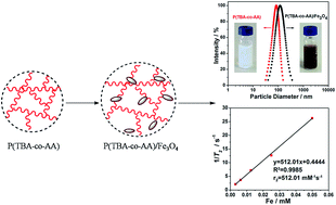 Graphical abstract: In situ synthesis of magnetic poly(N-tert-butyl acrylamide-co-acrylic acid)/Fe3O4 nanogels for magnetic resonance imaging