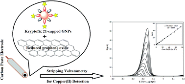 Graphical abstract: Stripping voltammetric detection of copper ions using carbon paste electrode modified with aza-crown ether capped gold nanoparticles and reduced graphene oxide