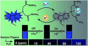 Graphical abstract: Fluorescent paper sensor fabricated by carbazole-based probes for dual visual detection of Cu2+ and gaseous H2S