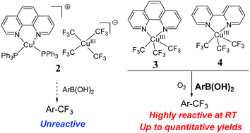 Graphical abstract: Isolation and characterization of copper(iii) trifluoromethyl complexes and reactivity studies of aerobic trifluoromethylation of arylboronic acids