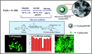 Graphical abstract: One-pot synthesis of carbon dot-entrenched chitosan-modified magnetic nanoparticles for fluorescence-based Cu2+ ion sensing and cell imaging