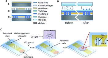 Graphical abstract: Digital microfluidic platform for dielectrophoretic patterning of cells encapsulated in hydrogel droplets