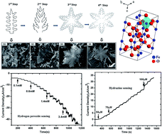 Graphical abstract: A highly sensitive non-enzymatic hydrogen peroxide and hydrazine electrochemical sensor based on 3D micro-snowflake architectures of α-Fe2O3