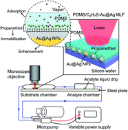 Graphical abstract: On-line sensitive detection of aromatic vapor through PDMS/C3H7S-assisted SERS amplification