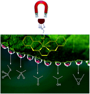 Graphical abstract: Enhanced aqueous oxidation activity and durability of simple manganese(iii) salen complex axially anchored to maghemite nanoparticles