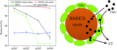 Graphical abstract: Removal of perchlorate from water using a biofilm magnetic ion exchange resin: feasibility and effects of dissolved oxygen, pH and competing ions
