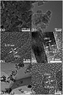 Graphical abstract: Anatase TiO2 nanosheets with exposed highly reactive (001) facets as an efficient photoanode for quantum dot-sensitized solar cells