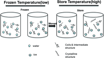 Graphical abstract: Fabrication of water-stable silk fibroin scaffolds through self-assembly of proteins