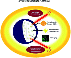 Graphical abstract: Exploring the photothermal hot spots of graphene in the first and second biological window to inactivate cancer cells and pathogens