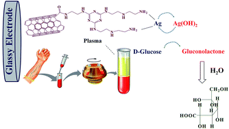 Graphical abstract: Non-enzymatic glucose electrochemical sensor based on silver nanoparticle decorated organic functionalized multiwall carbon nanotubes