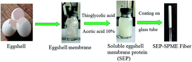 Graphical abstract: New solid phase microextraction fiber based on an eggshell membrane coating for determination of polycyclic aromatic hydrocarbons