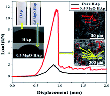 Graphical abstract: Synthesis and enhanced mechanical properties of MgO substituted hydroxyapatite: a bone substitute material