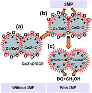 Graphical abstract: Effect of Ce doping into ZnO nanostructures to enhance the phenolic sensor performance