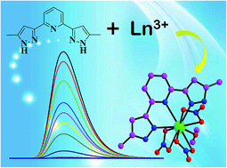 Graphical abstract: Optical detection of small biomolecule thiamines at a micromolar level by highly luminescent lanthanide complexes with tridentate N-heterocyclic ligands