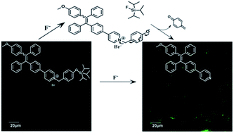 Graphical abstract: An AIE based tetraphenylethylene derivative for highly selective and light-up sensing of fluoride ions in aqueous solution and in living cells