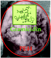 Graphical abstract: Electrospray loading and release of hydrophobic gramicidin in polyester microparticles