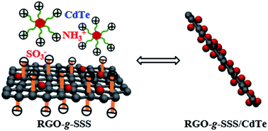 Graphical abstract: Electrostatic fabrication of RGO-g-SSS/CdTe graphene/quantum dot nanocomposites with enhanced optoelectronic properties