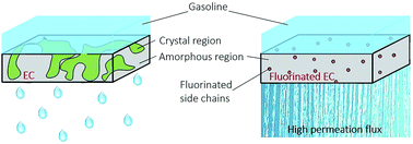 Graphical abstract: Micro-phase architectural design of fluorinated ethyl cellulose membranes: towards high permeation flux of pervaporation for gasoline desulfurization