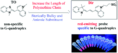 Graphical abstract: The development of a light-up red-emitting fluorescent probe based on a G-quadruplex specific cyanine dye