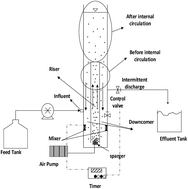 Graphical abstract: Nitrogen removal by ANAMMOX and simultaneous nitrification–denitrification (SND) processes in a novel single airlift bioreactor