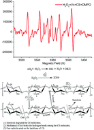 Graphical abstract: Kinetics and mechanism of degradation of chitosan by combining sonolysis with H2O2/ascorbic acid