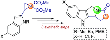Graphical abstract: Concise approach to pyrrolizino[1,2-b]indoles from indole-derived donor–acceptor cyclopropanes