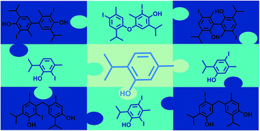 Graphical abstract: Structural revision of aristol: a fresh look at the oxidative coupling of thymol under iodination conditions