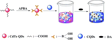 Graphical abstract: Boric acid functionalized ratiometric fluorescence probe for sensitive and on-site naked eye determination of dopamine based on two different kinds of quantum dots