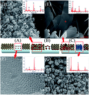 Graphical abstract: Cu2O sensitized flexible 3D-TiO2 nanotube arrays for enhancing visible photo-electrochemical performance