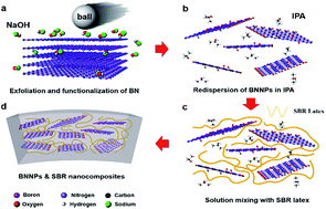 Graphical abstract: Enhancing the mechanical and thermal properties of boron nitride nanoplatelets/elastomer nanocomposites by latex mixing