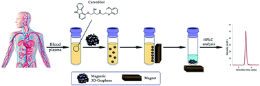 Graphical abstract: Three-dimensional graphene/Fe3O4-based magnetic solid phase extraction coupled with high performance liquid chromatography for determination of carvedilol in human blood plasma