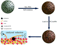 Graphical abstract: Enhanced catalytic degradation of 4-NP using a superhydrophilic PVDF membrane decorated with Au nanoparticles