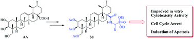 Graphical abstract: Synthesis, antiproliferative and apoptosis-inducing effects of novel asiatic acid derivatives containing α-aminophosphonates