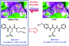 Graphical abstract: Discovery of novel chemical scaffolds as RhoA inhibitors using virtual screening, synthesis, and bioactivity evaluation