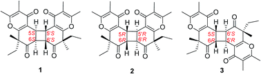 Graphical abstract: Lecanicillones A–C, three dimeric isomers of spiciferone A with a cyclobutane ring from an entomopathogenic fungus Lecanicillium sp. PR-M-3