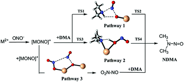 Graphical abstract: Effects of heavy metal ions on N-nitrosodimethylamine (NDMA) formation