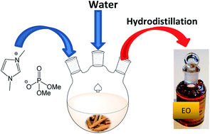 Graphical abstract: Considerable effect of dimethylimidazolium dimethylphosphate in cinnamon essential oil extraction by hydrodistillation