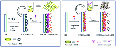 Graphical abstract: Comparative evaluation of enzyme-free nanoclay-ionic liquid based electrodes for detection of bioanalytes