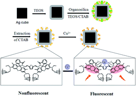 Graphical abstract: Metal-enhanced fluorescence-based multilayer core–shell Ag-nanocube@SiO2@PMOs nanocomposite sensor for Cu2+ detection