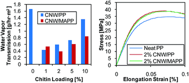 Graphical abstract: Effects of chitin nanowhiskers on the thermal, barrier, mechanical, and rheological properties of polypropylene nanocomposites